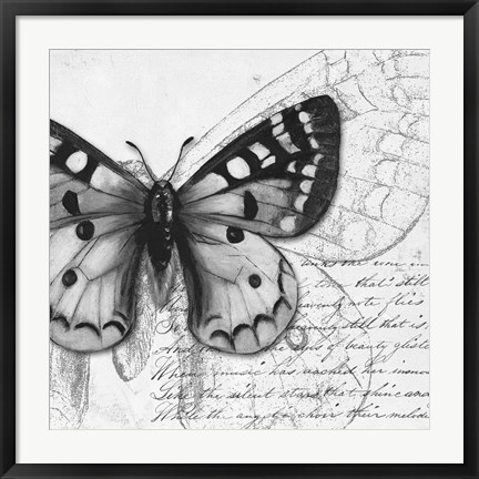 Framed Butterfly Studies I Print