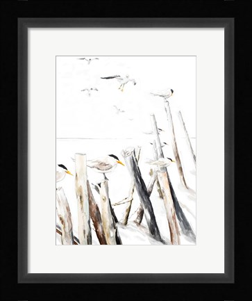 Framed Gull Point Print