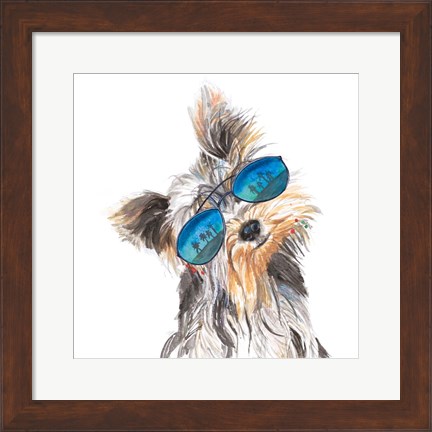 Framed Yorkie with Shades Print