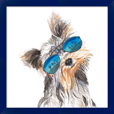 Framed Yorkie with Shades Print