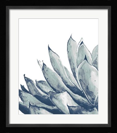 Framed Blue Agave on White I Print