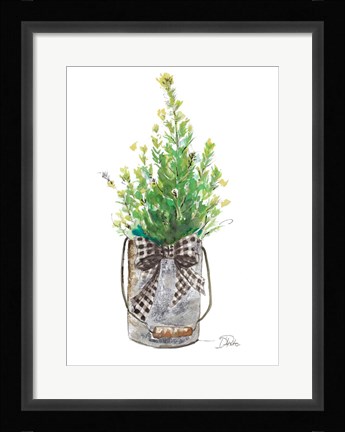 Framed Christmas Fir I Print
