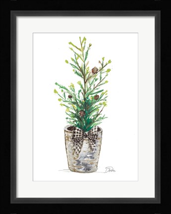 Framed Christmas Fir II Print