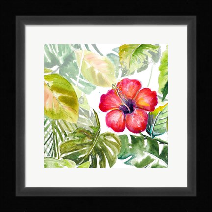 Framed Hibiscus on Selva Print