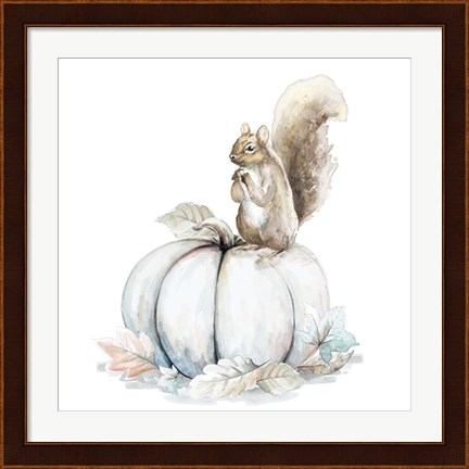 Framed Squirrel and Pumpkin II Print