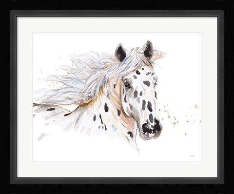 Framed Appaloosa Print