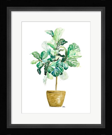 Framed Fig Plant Print