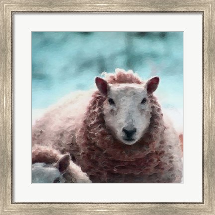 Framed Sheep Square II Print