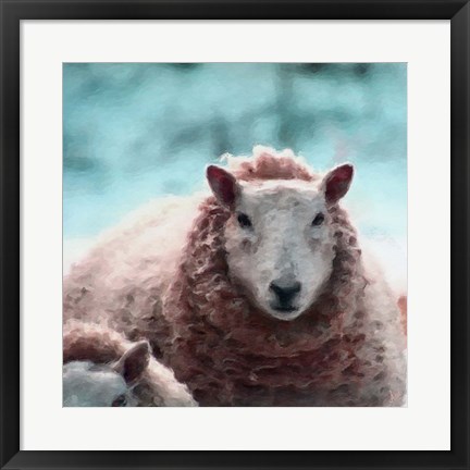 Framed Sheep Square II Print