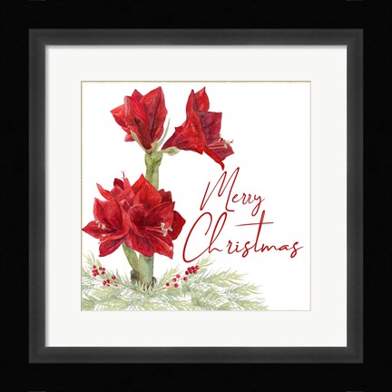 Framed Merry Amaryllis VI Print