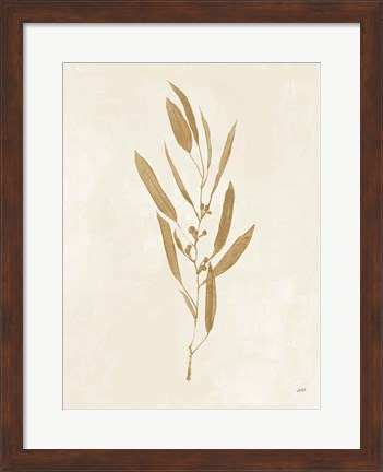 Framed Botanical Study I Gold Crop Print