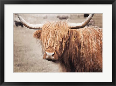 Framed Scottish Highland Cattle I Neutral Print