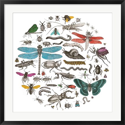 Framed Insect Circle I Bright v2 Print