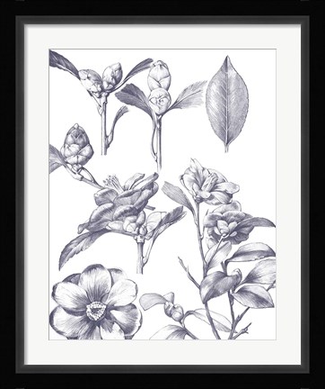 Framed Lithograph Florals II Blue Print