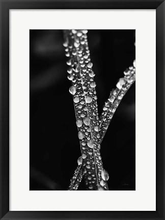 Framed Water Droplets Print
