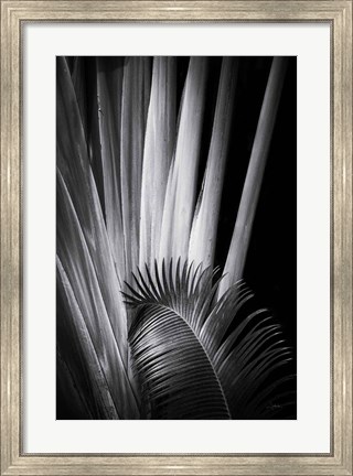 Framed Tropical II Print