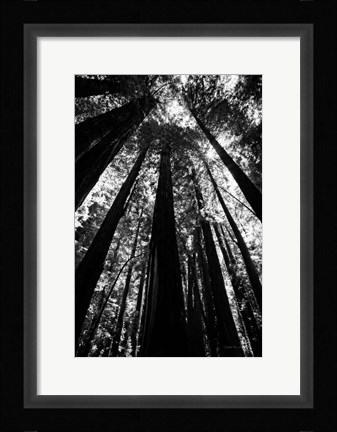 Framed Stand BW Print