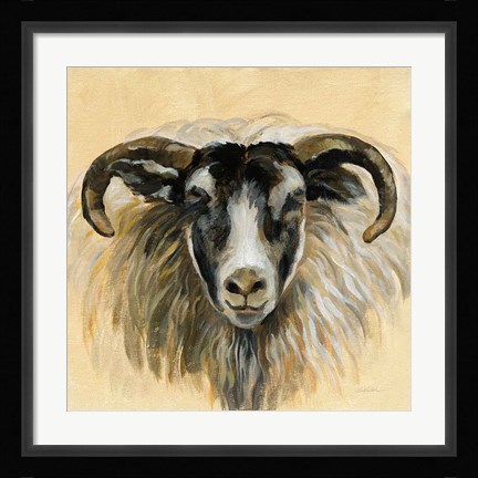 Framed Highland Animal Ram Print