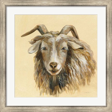 Framed Highland Animal Sheep Print