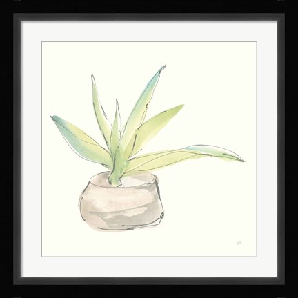 Framed Succulent III Print