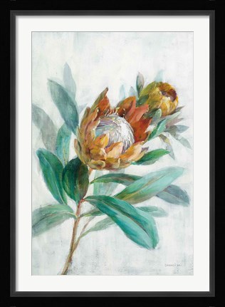 Framed Tropical Protea Print