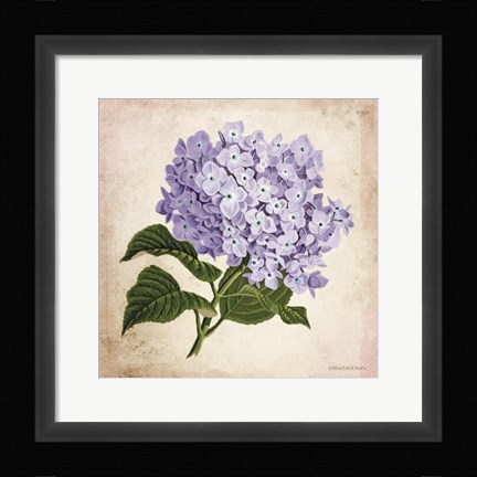 Framed Vintage Lilac Print