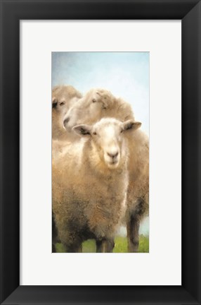 Framed Three Sheep Portrait Print