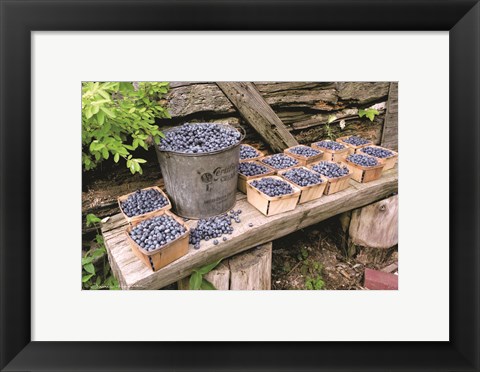 Framed Blueberries Picked Print