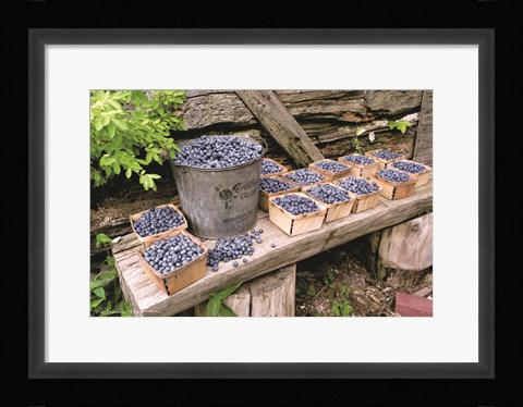 Framed Blueberries Picked Print