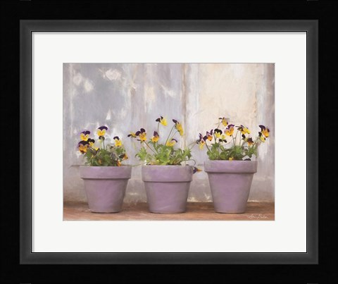 Framed Pansy Still Life I Print