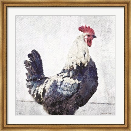 Framed Rooster Blue Print