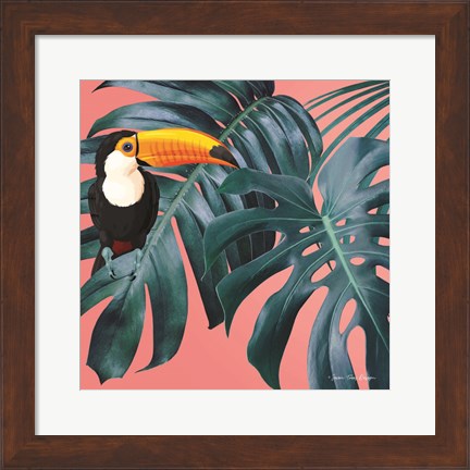 Framed Toucan Print