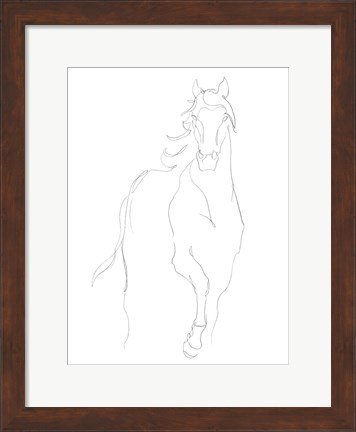 Framed Horse Contour I Print