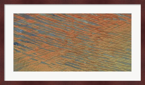 Framed Desert Patterns I Print