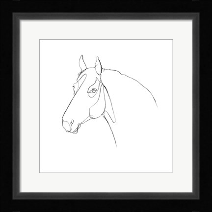 Framed Equine Pencil Contour III Print