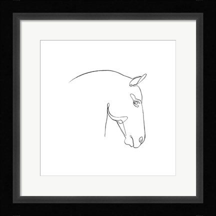 Framed Equine Pencil Contour IV Print