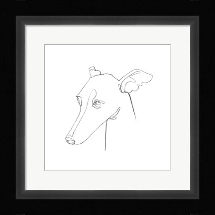 Framed Greyhound Pencil Portrait I Print
