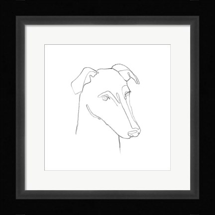 Framed Greyhound Pencil Portrait II Print