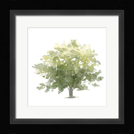 Framed Lonely Oak I Print