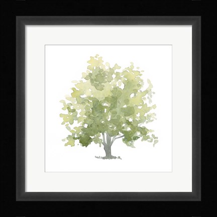 Framed Lonely Oak II Print