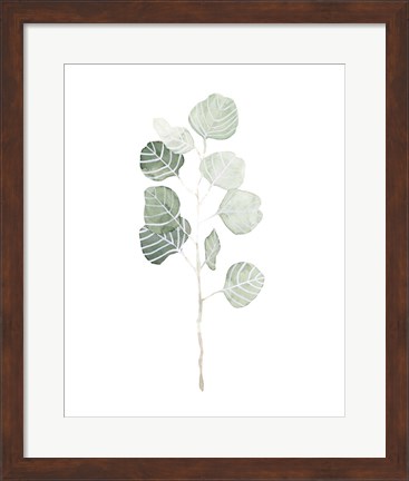 Framed Soft Eucalyptus Branch I Print