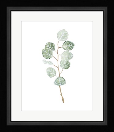 Framed Soft Eucalyptus Branch III Print