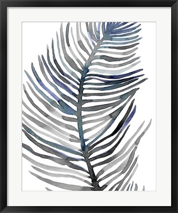 Framed Blue Feathered Palm III Print