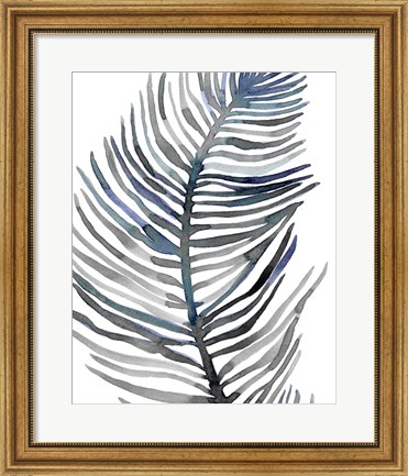 Framed Blue Feathered Palm III Print