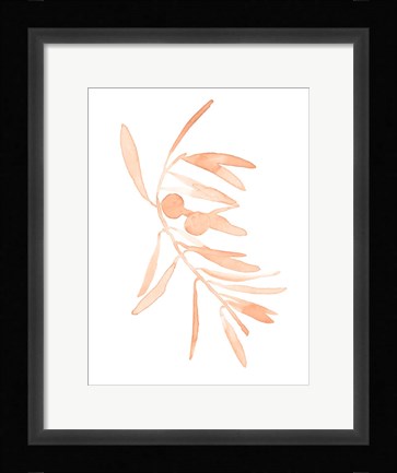 Framed Blush Olive Branch I Print