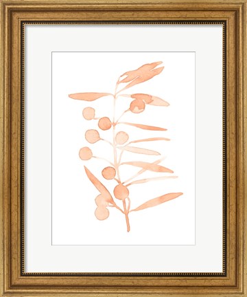 Framed Blush Olive Branch II Print