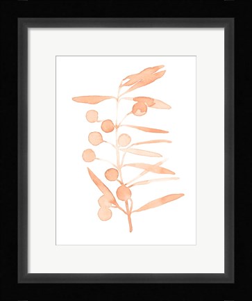 Framed Blush Olive Branch II Print