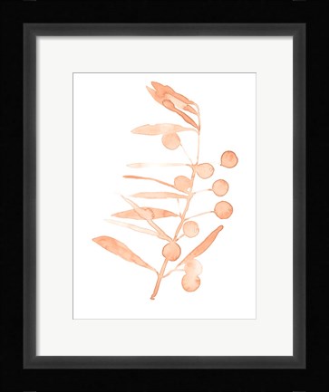 Framed Blush Olive Branch III Print