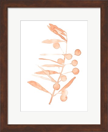 Framed Blush Olive Branch III Print