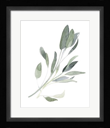 Framed Simple Sage I Print